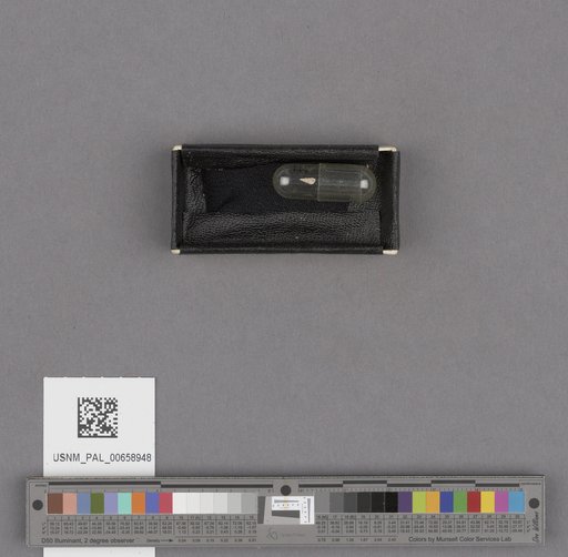 NSF ADBC EPICC TCN