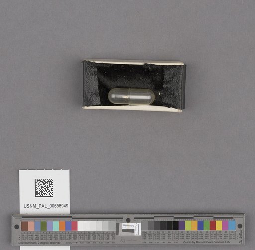 NSF ADBC EPICC TCN