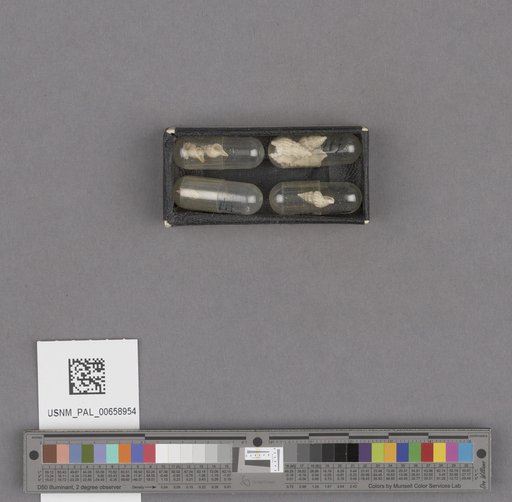 NSF ADBC EPICC TCN