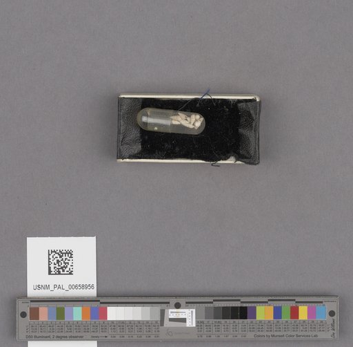 NSF ADBC EPICC TCN