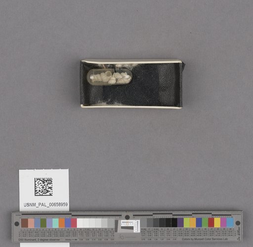 NSF ADBC EPICC TCN