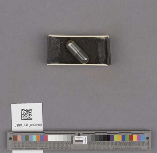 NSF ADBC EPICC TCN