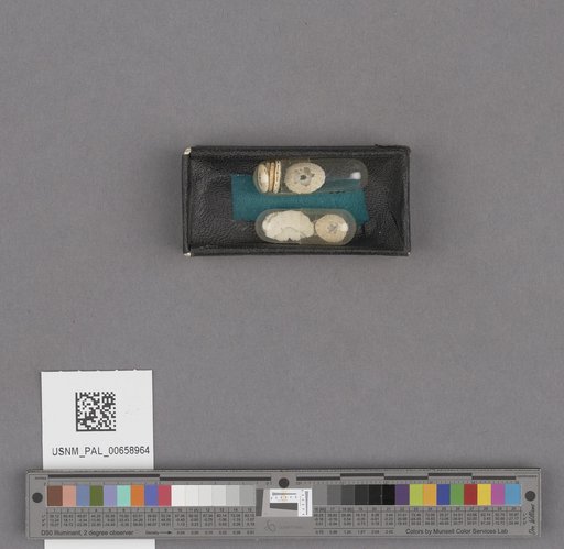 NSF ADBC EPICC TCN