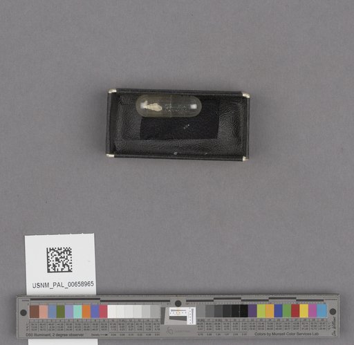 NSF ADBC EPICC TCN