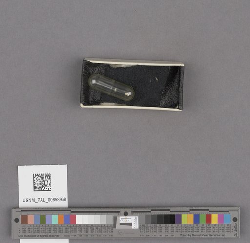 NSF ADBC EPICC TCN