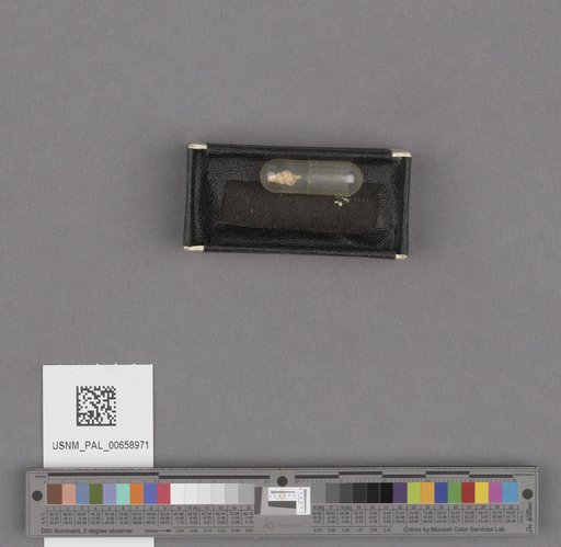 NSF ADBC EPICC TCN