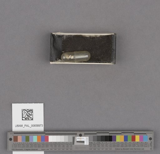 NSF ADBC EPICC TCN