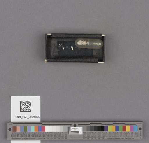 NSF ADBC EPICC TCN