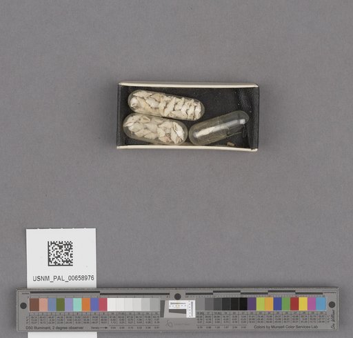 NSF ADBC EPICC TCN