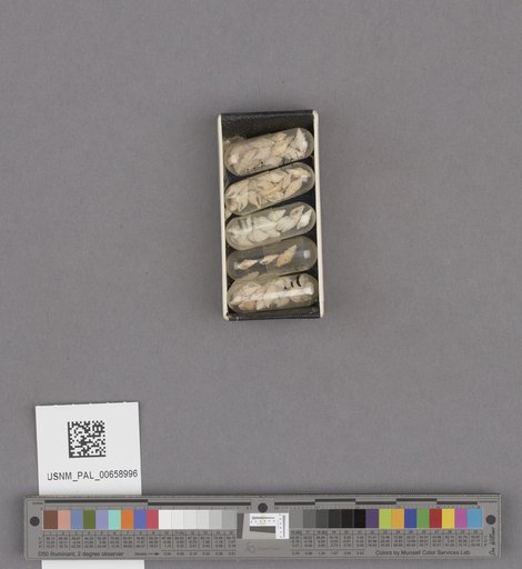 NSF ADBC EPICC TCN