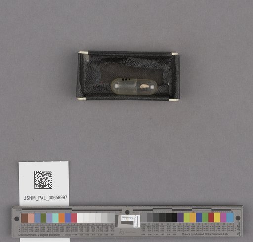 NSF ADBC EPICC TCN