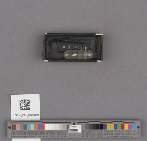 NSF ADBC EPICC TCN