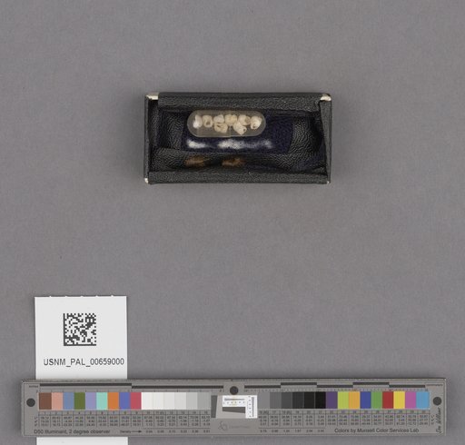 NSF ADBC EPICC TCN