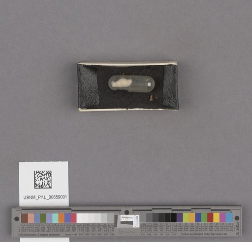NSF ADBC EPICC TCN