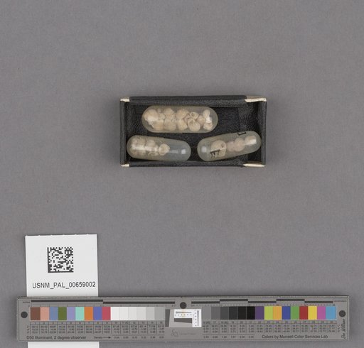 NSF ADBC EPICC TCN