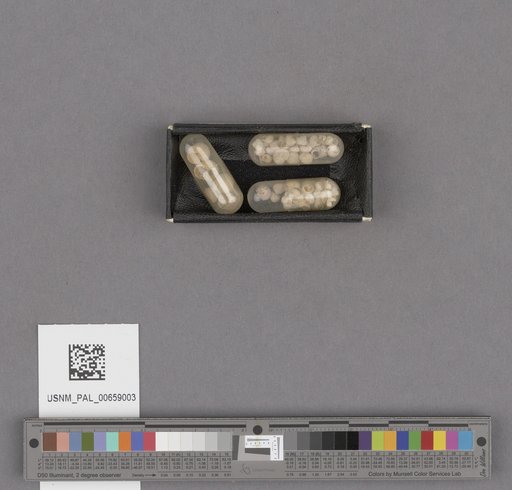 NSF ADBC EPICC TCN