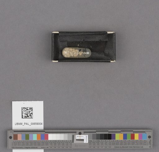 NSF ADBC EPICC TCN