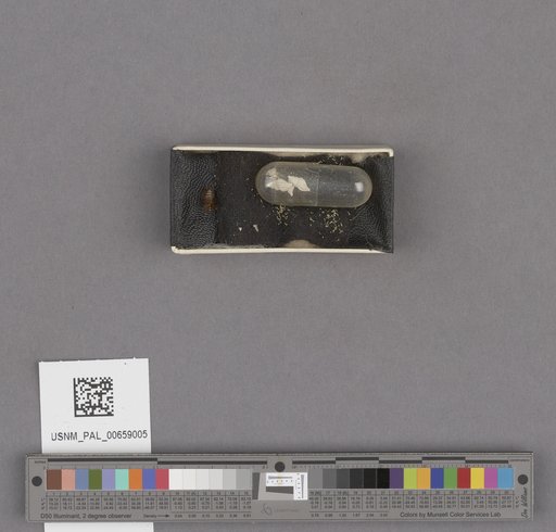 NSF ADBC EPICC TCN