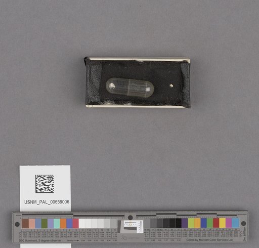 NSF ADBC EPICC TCN
