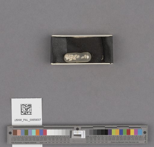 NSF ADBC EPICC TCN
