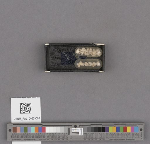 NSF ADBC EPICC TCN