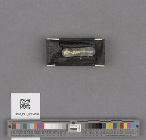 NSF ADBC EPICC TCN