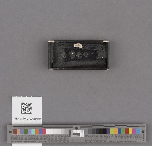 NSF ADBC EPICC TCN
