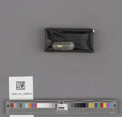NSF ADBC EPICC TCN