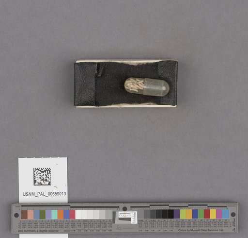 NSF ADBC EPICC TCN