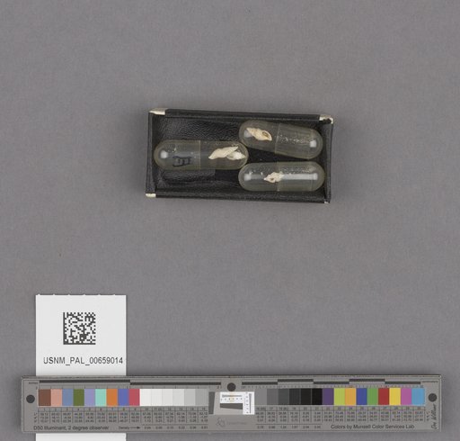 NSF ADBC EPICC TCN