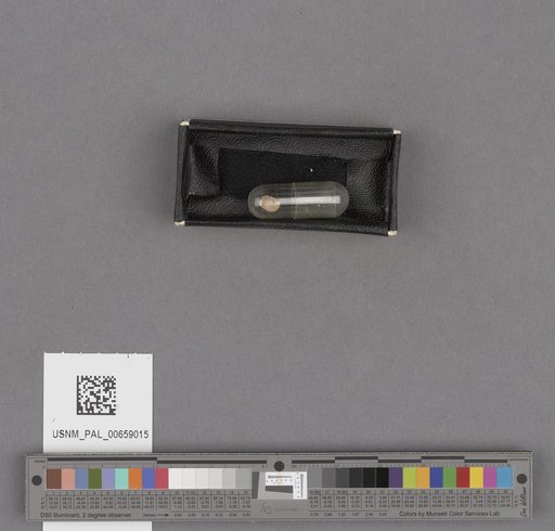NSF ADBC EPICC TCN