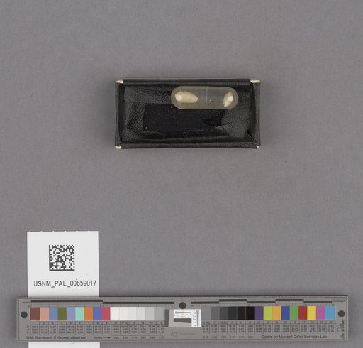 NSF ADBC EPICC TCN