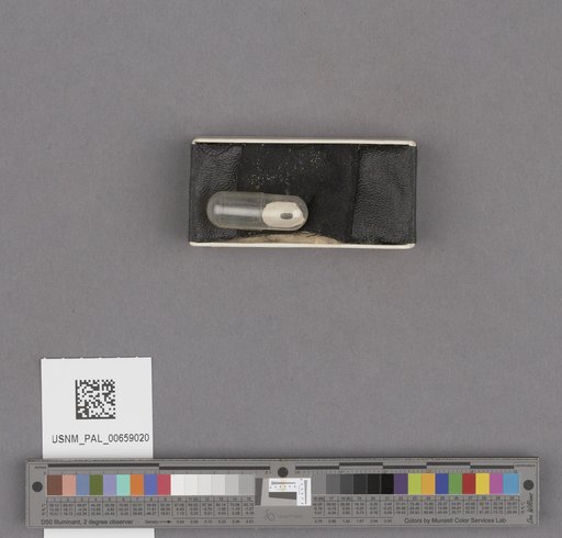 NSF ADBC EPICC TCN