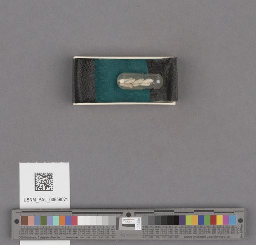 NSF ADBC EPICC TCN