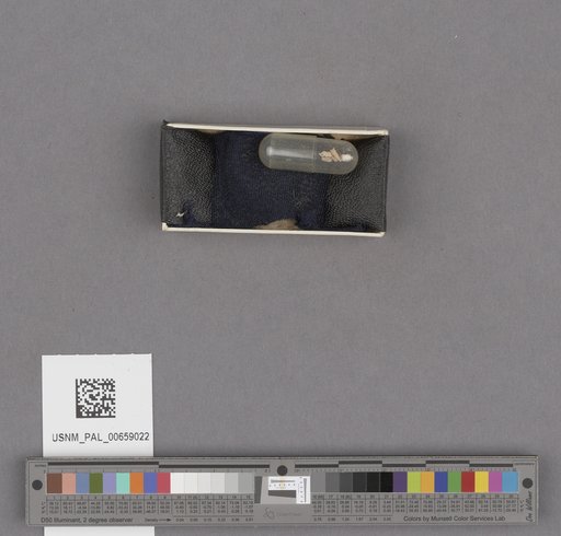 NSF ADBC EPICC TCN
