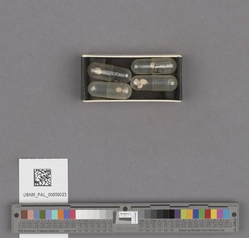 NSF ADBC EPICC TCN