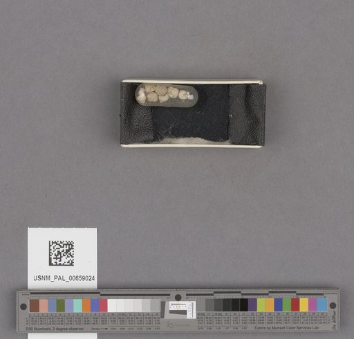 NSF ADBC EPICC TCN