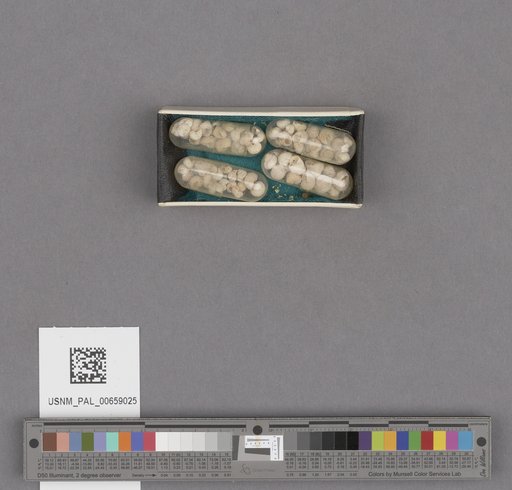NSF ADBC EPICC TCN
