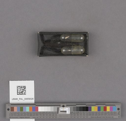 NSF ADBC EPICC TCN
