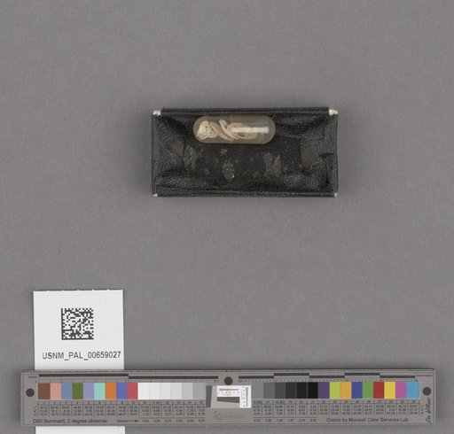 NSF ADBC EPICC TCN