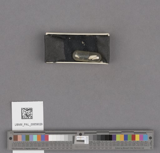 NSF ADBC EPICC TCN