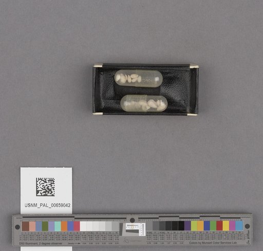 NSF ADBC EPICC TCN