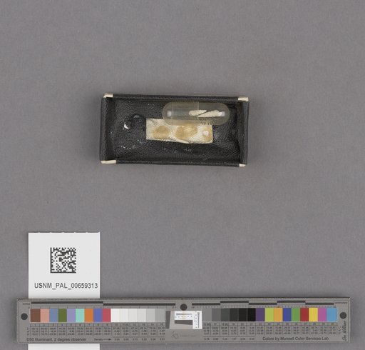 NSF ADBC EPICC TCN
