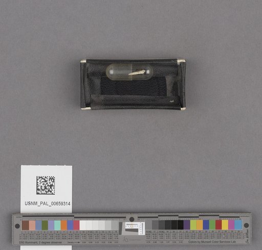 NSF ADBC EPICC TCN