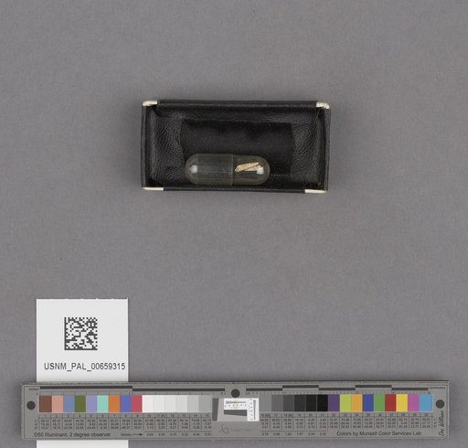 NSF ADBC EPICC TCN