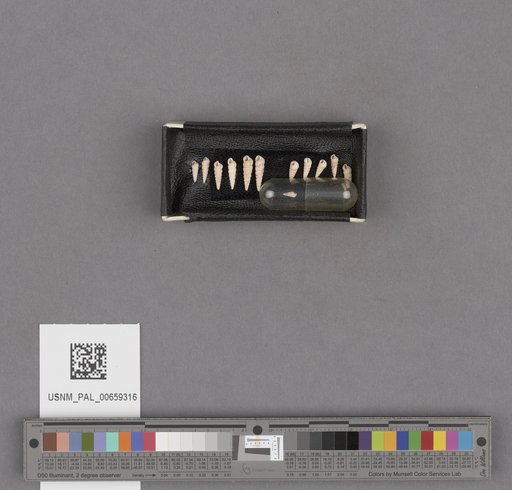 NSF ADBC EPICC TCN