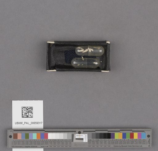 NSF ADBC EPICC TCN