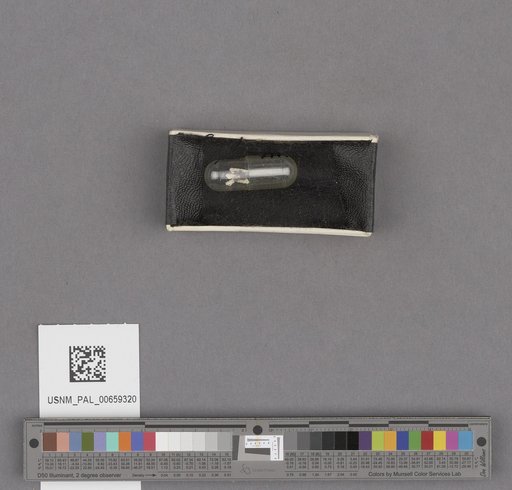NSF ADBC EPICC TCN