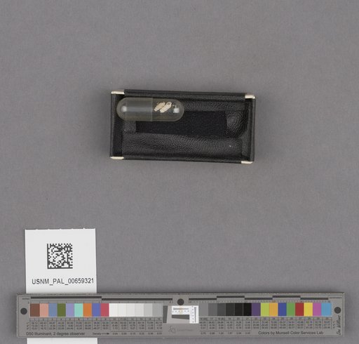 NSF ADBC EPICC TCN