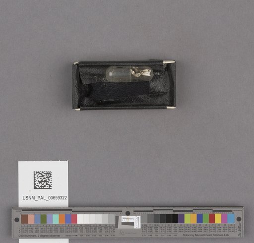 NSF ADBC EPICC TCN